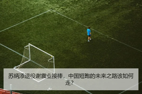 苏炳添退役谢震业接棒，中国短跑的未来之路该如何走？